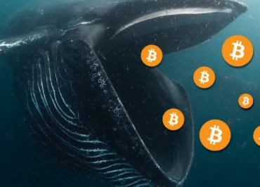btc balina bitcoin