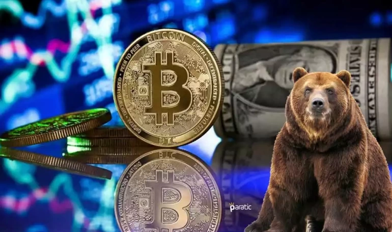 btc ayi donemi