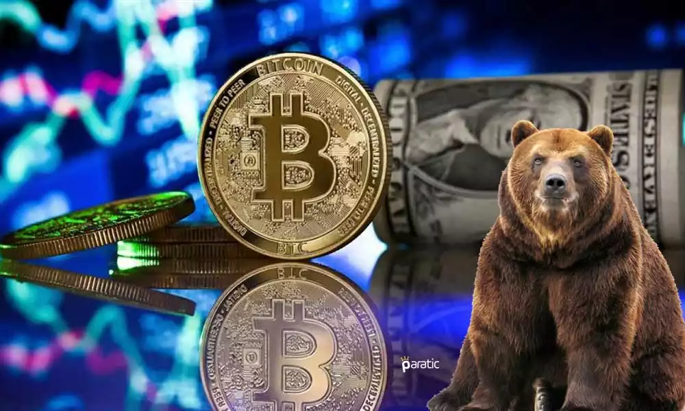 btc ayi donemi