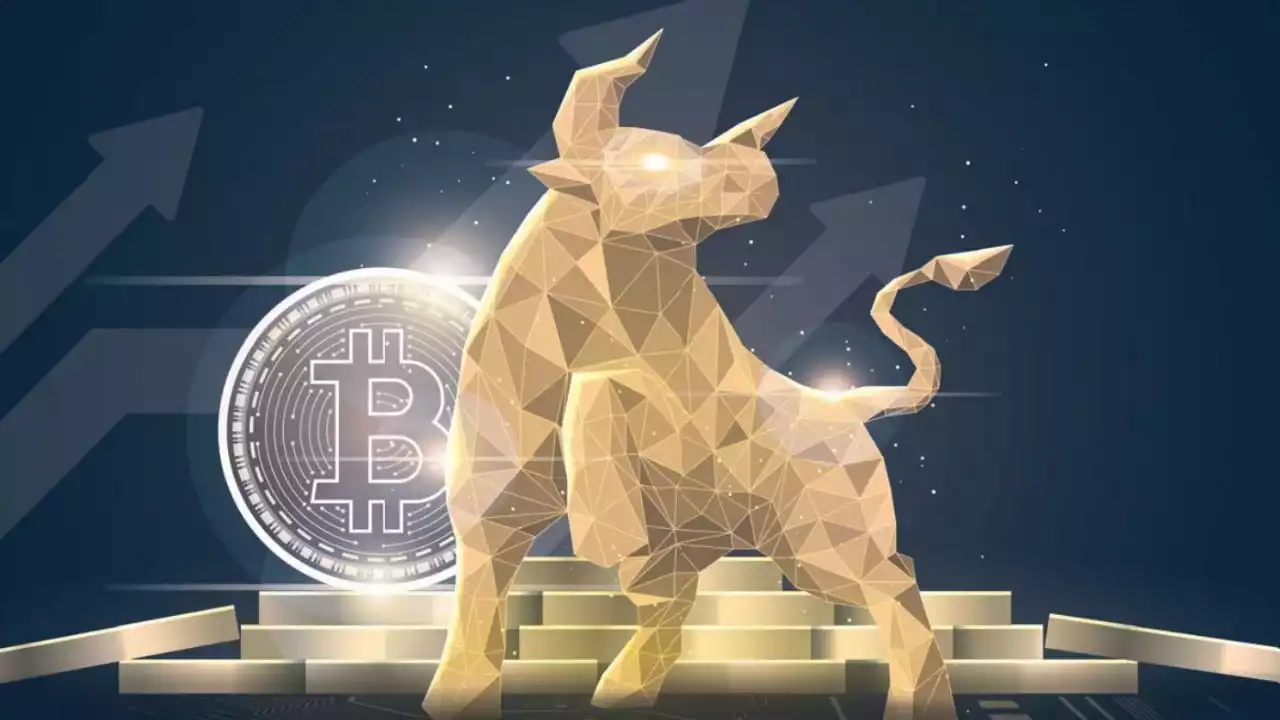 bitcoin boga piyasasi geliyor