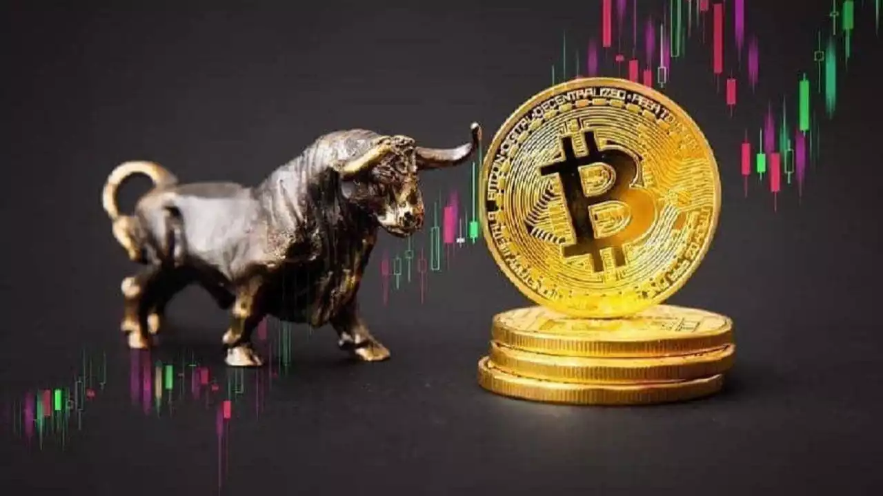 bitcoin grafik analiz boga