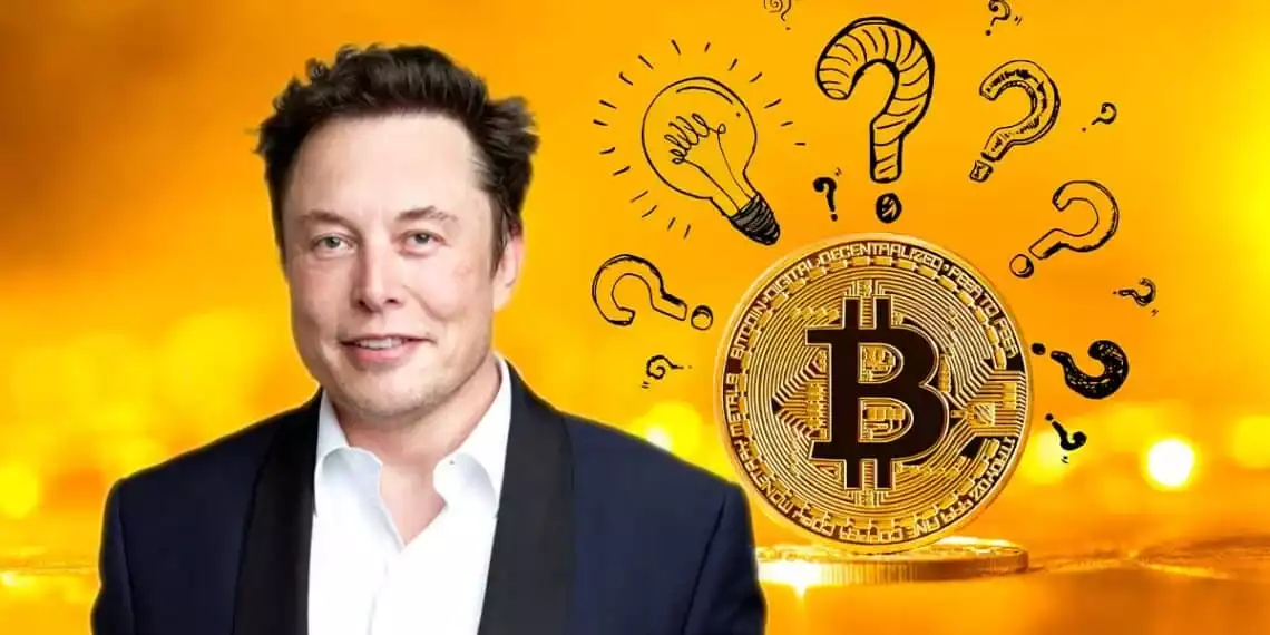 elon musk kriptopara dogecoin bitcoin