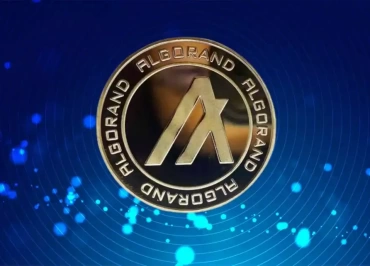 algorand algo analiz