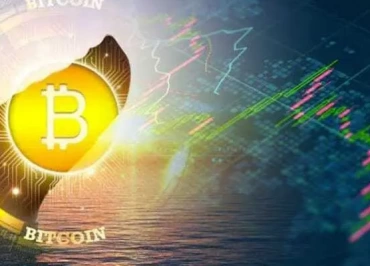 balina btc bitcoin
