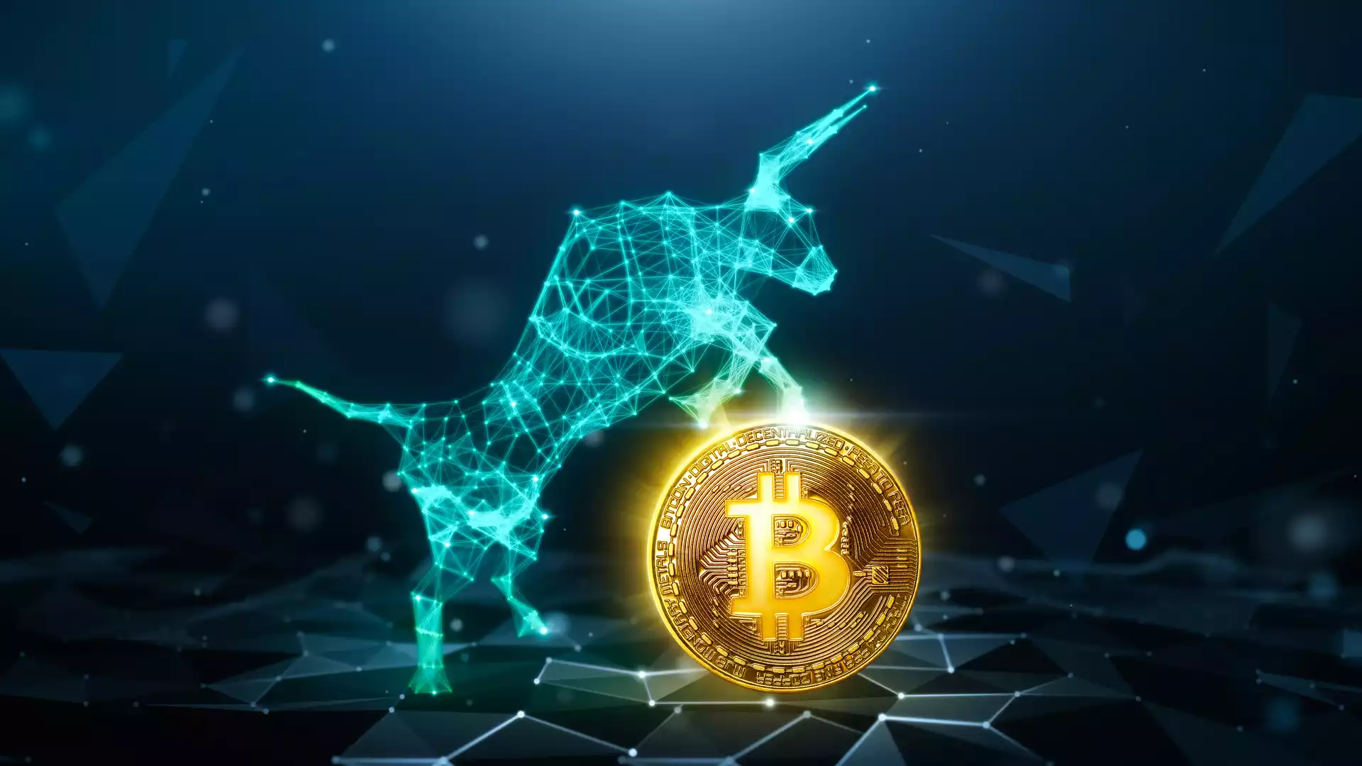 bitcoin bogasi btc nekadar yukselecek