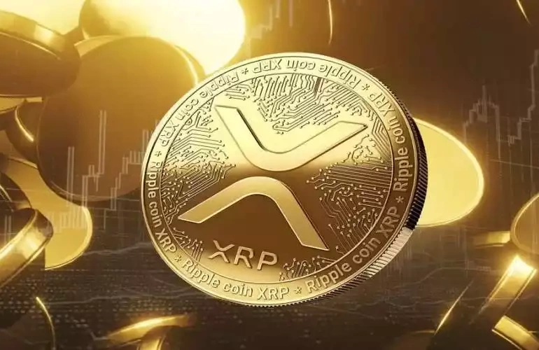 xrp ripple boga sezonu