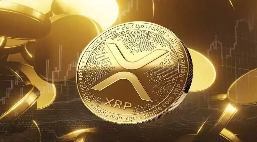 xrp ripple boga sezonu