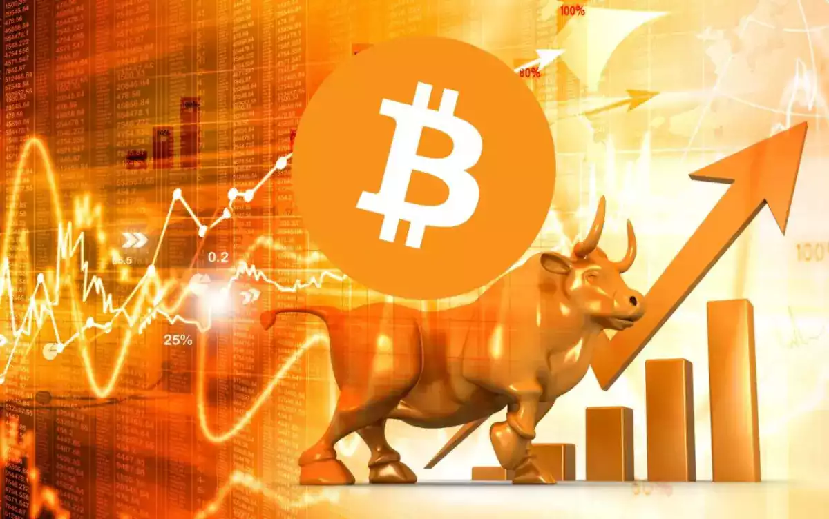 Bitcoin Boga Kosusu