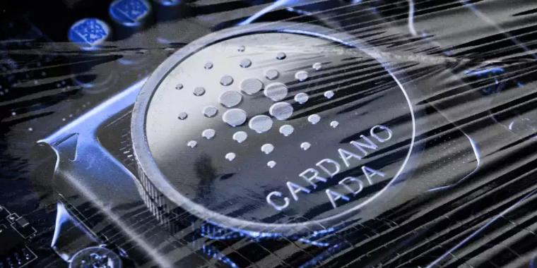 cardona ada yükselecek mi