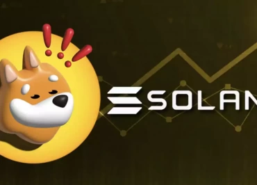 Bonk ShibaInu memecoin