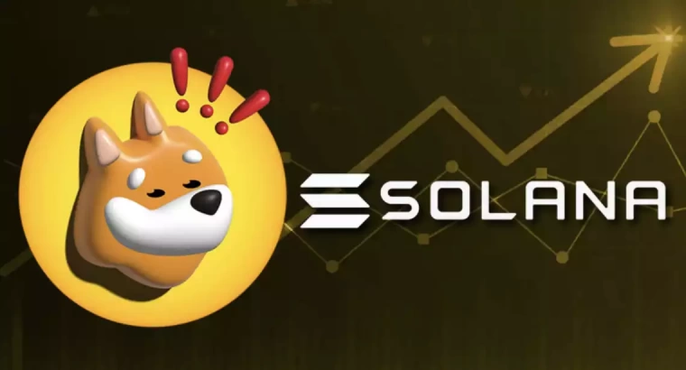 Bonk ShibaInu memecoin