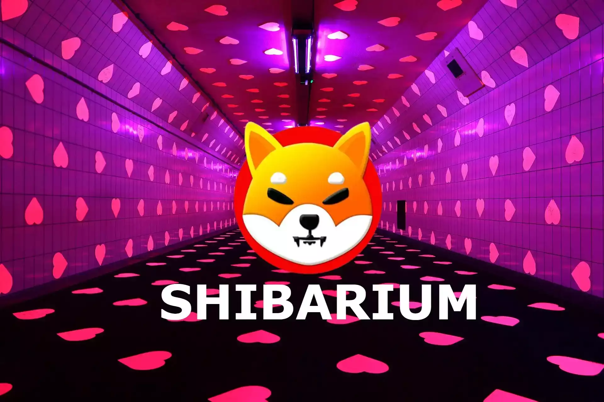 Shibarium Shiba Inu