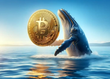 bitcoin whale btc