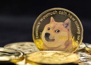doge coin