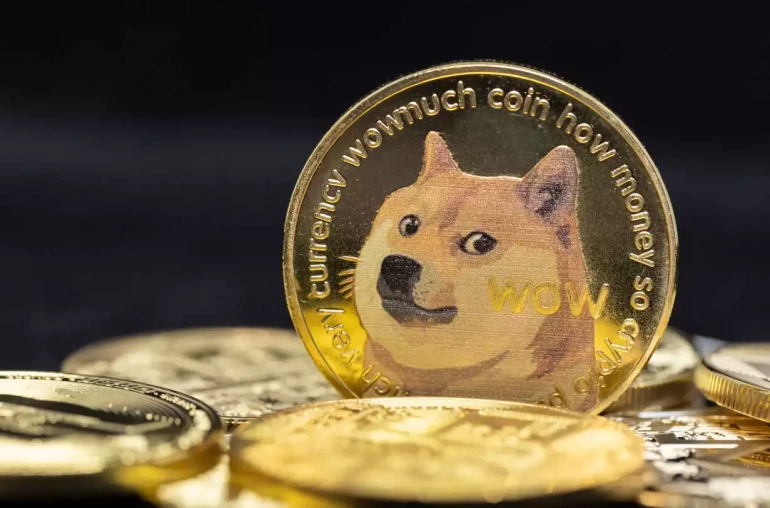 doge coin