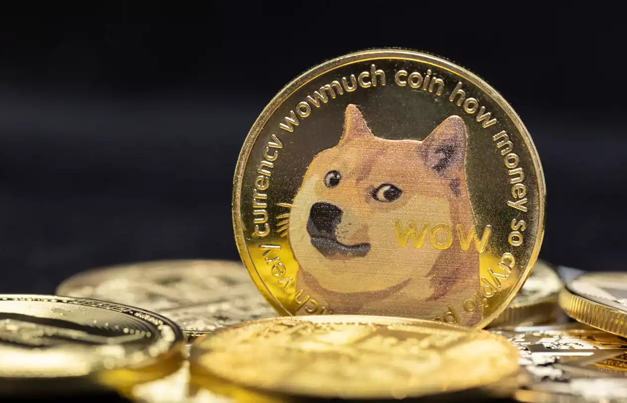 doge coin
