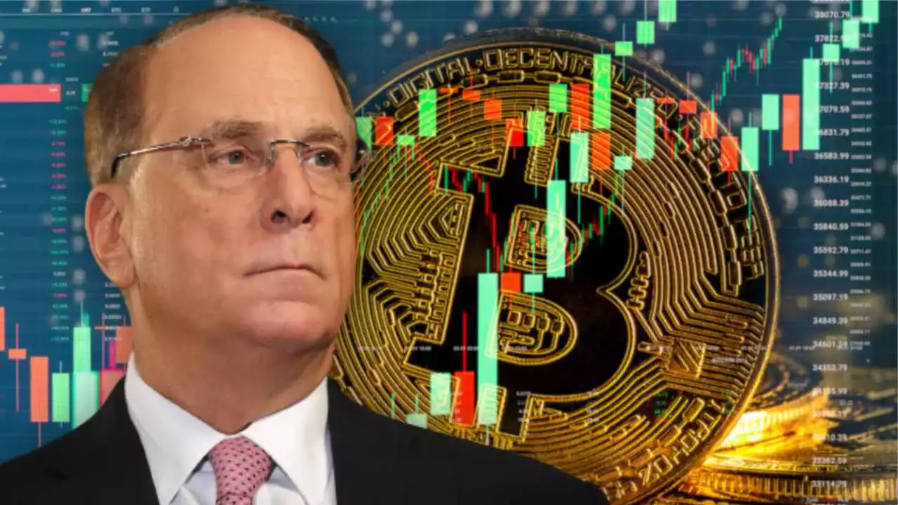 larry fink bitcoin blackrock