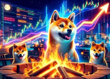 shiba inu token yakımı