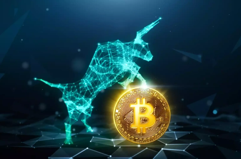 btc bitcoin bogasi