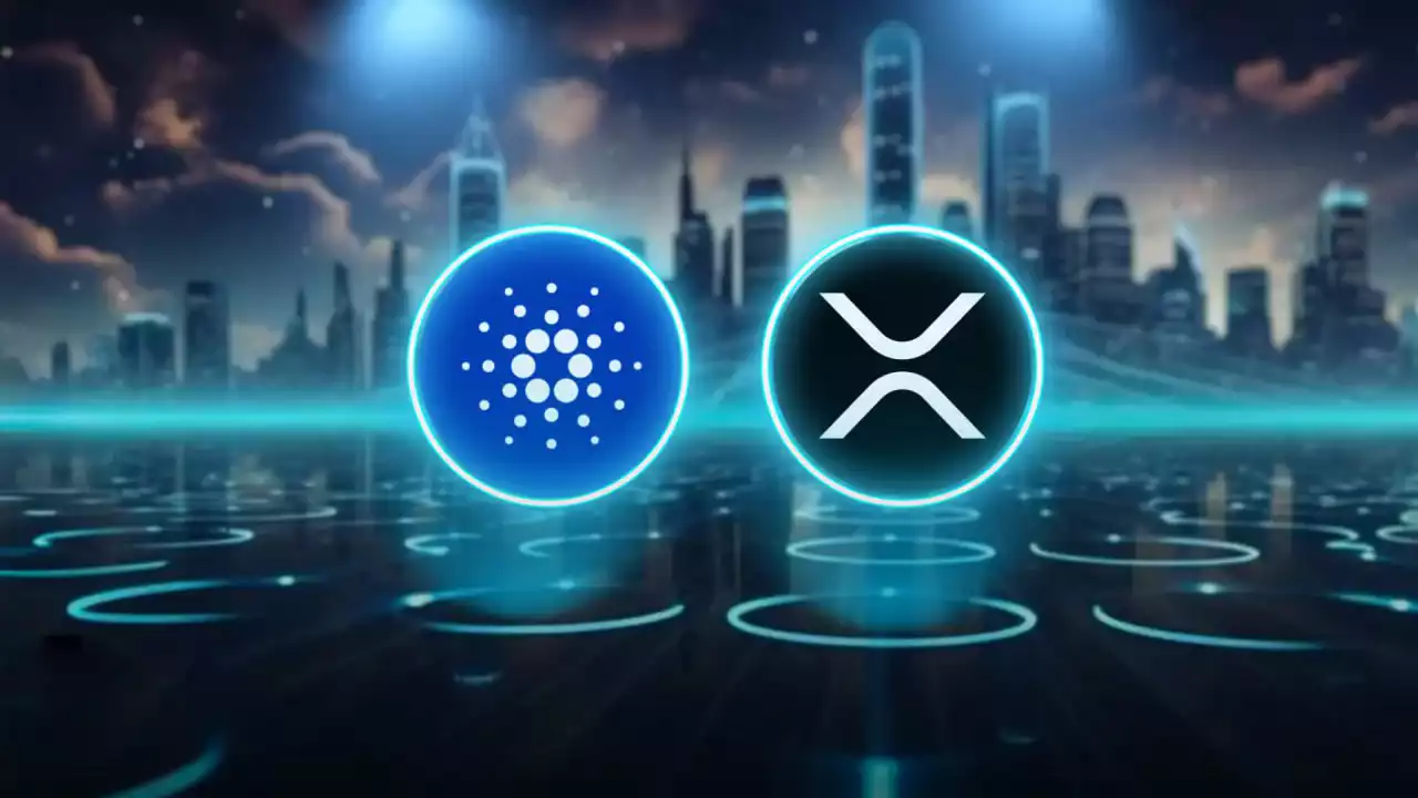 xrp cardona ripple fiyat