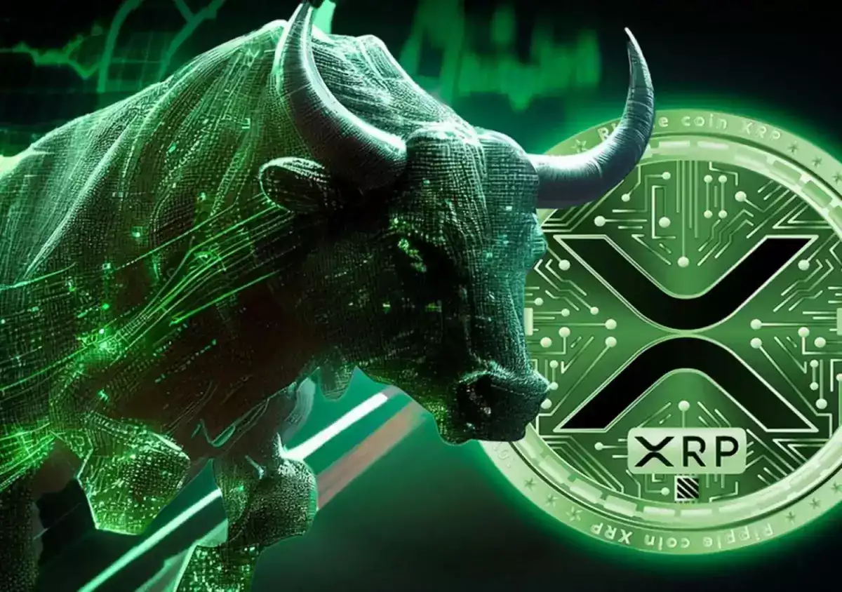 xrp ripple boga kosusu