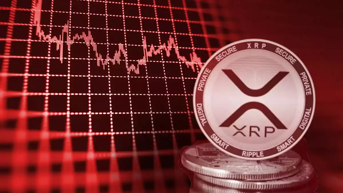 xrp dot ton coin düsüyor