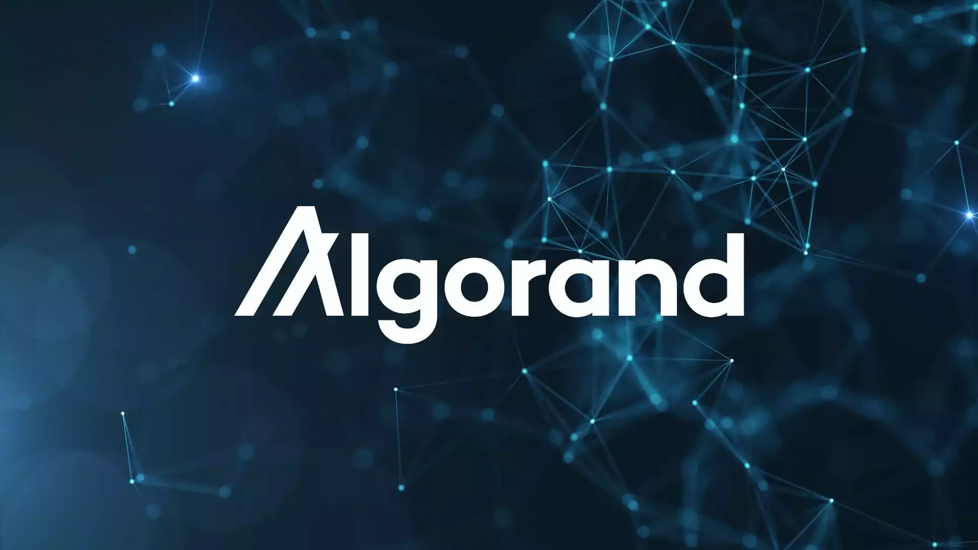 Algorand algo fiyat tahmin