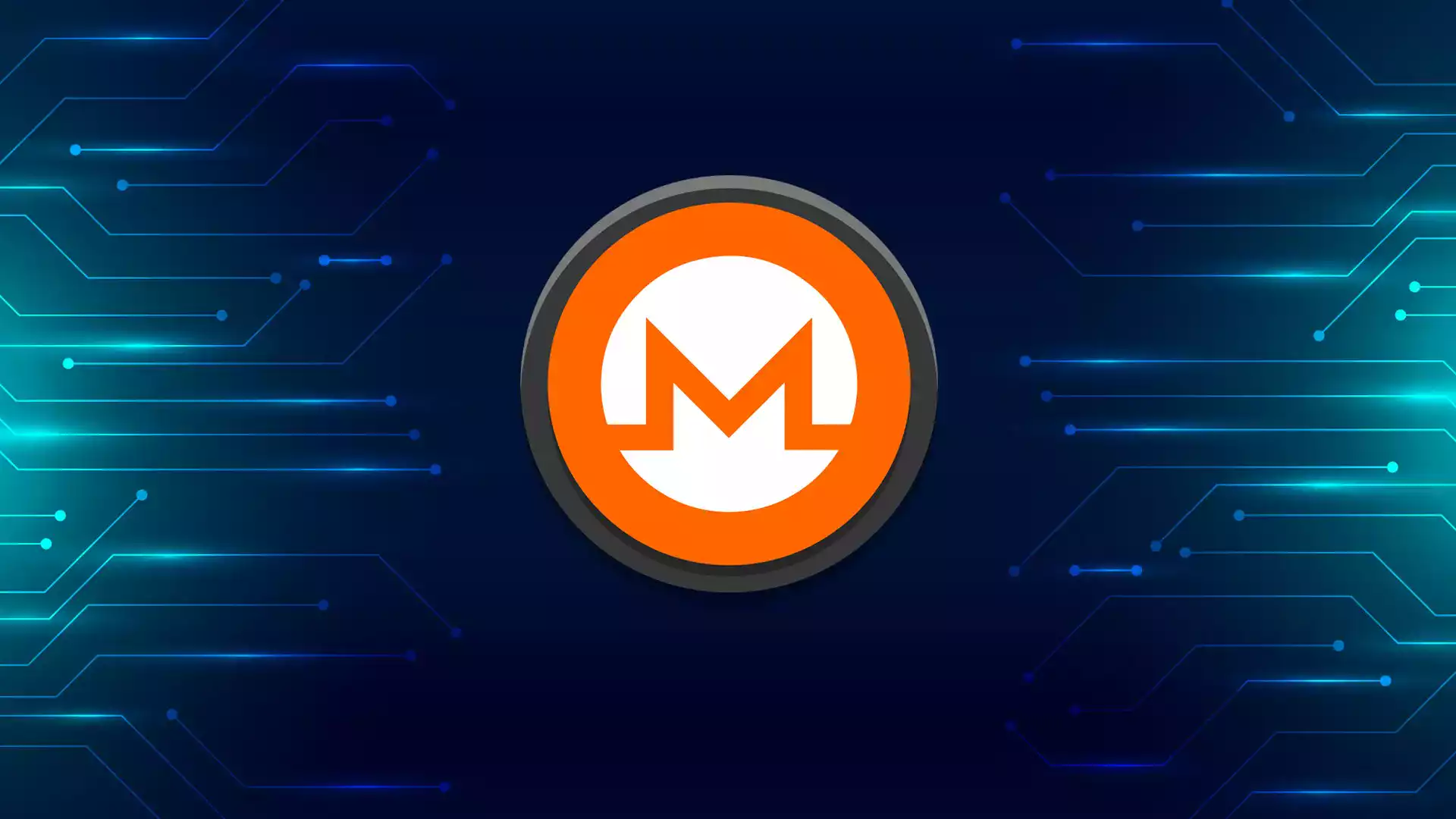 Monero xmr ne kadar yukselecek