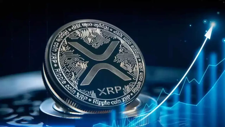 XRP ripple para trasferleri