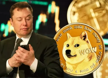 elon musk doge dava