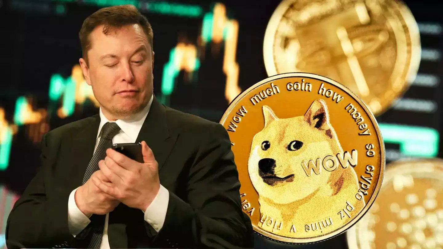 Elon Musk, 258 Milyar Dolarlık Dogecoin Davasında Zafer - 1 elon musk doge dava