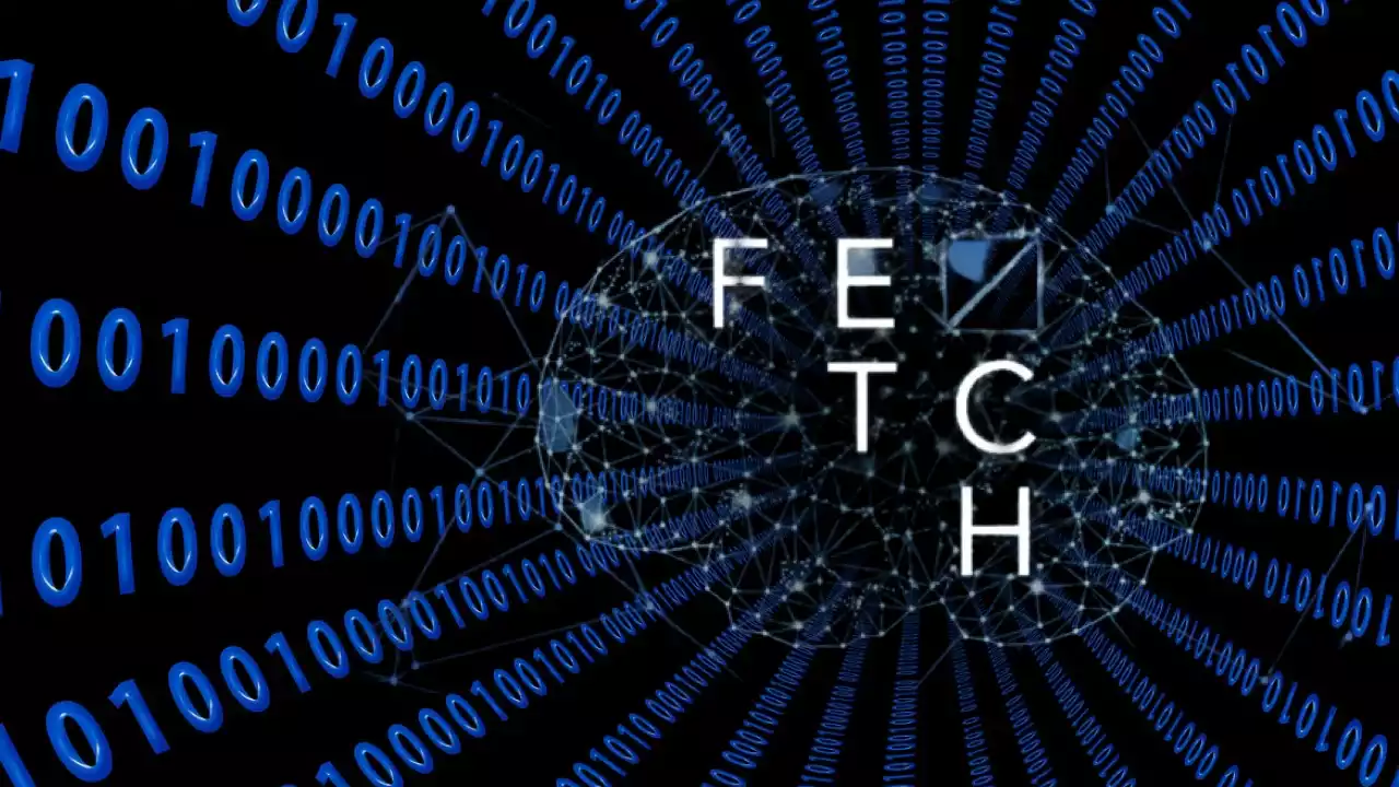 fet coin balina