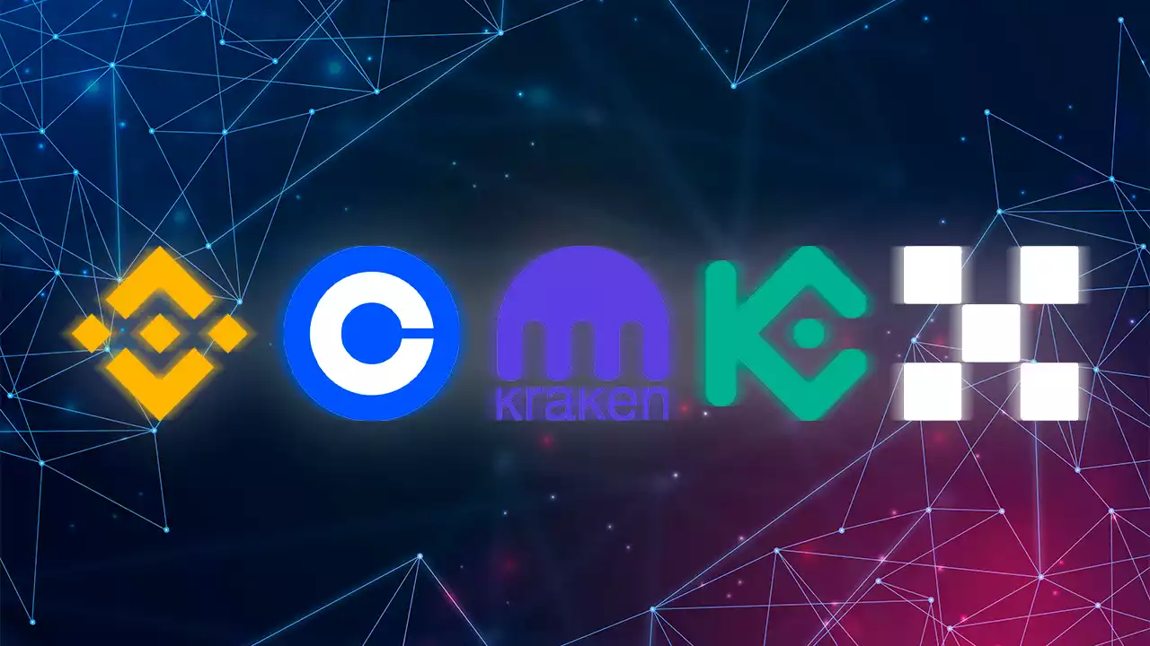 kripto para borsasi