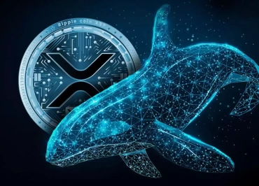 xrp ripple balinalari