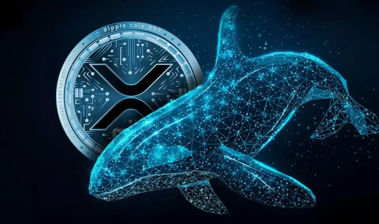 xrp ripple balinalari
