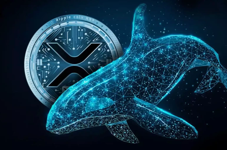 xrp ripple balinalari