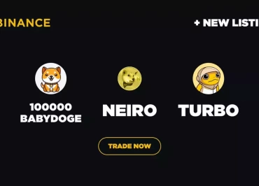 NEIRO BABYDOGE turbo binance