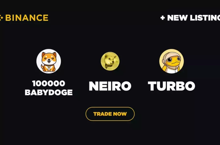 NEIRO BABYDOGE turbo binance