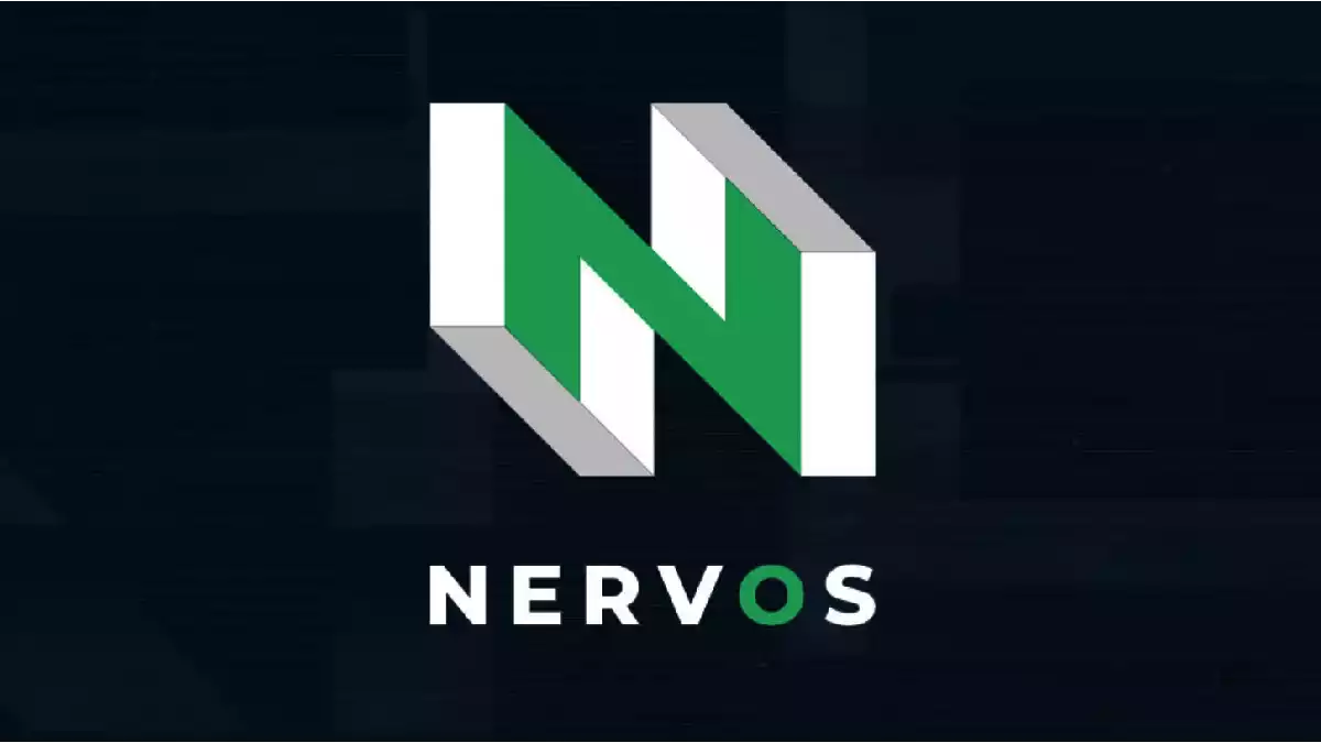 ckb token neden yukseliyor
