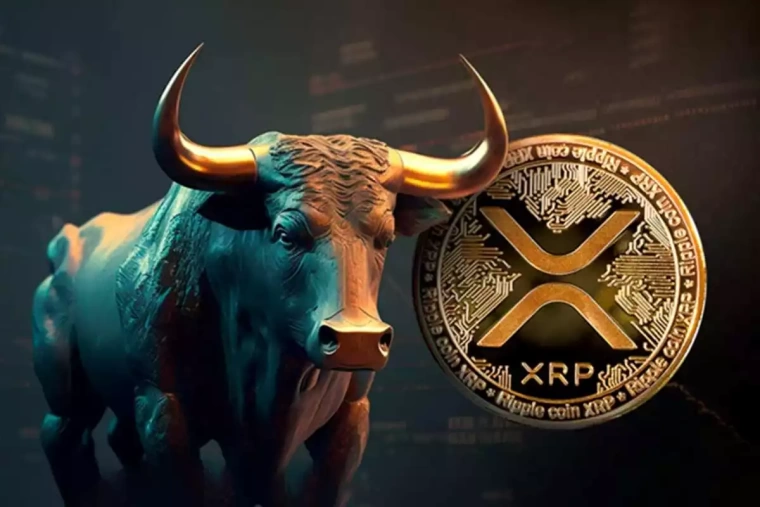 xrp ripple boga