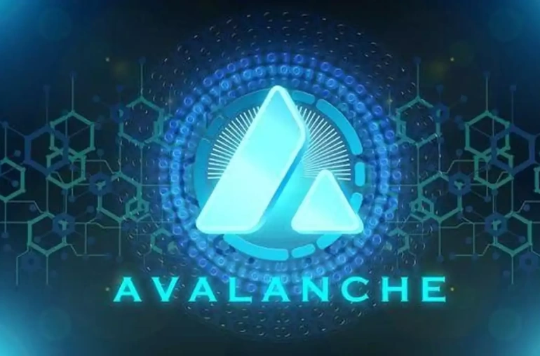 avalanche avax kriptopara kriptodoktoru