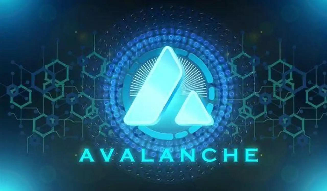 avalanche avax kriptopara kriptodoktoru