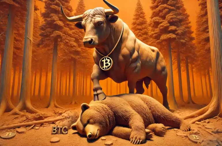 btc boga yukselis