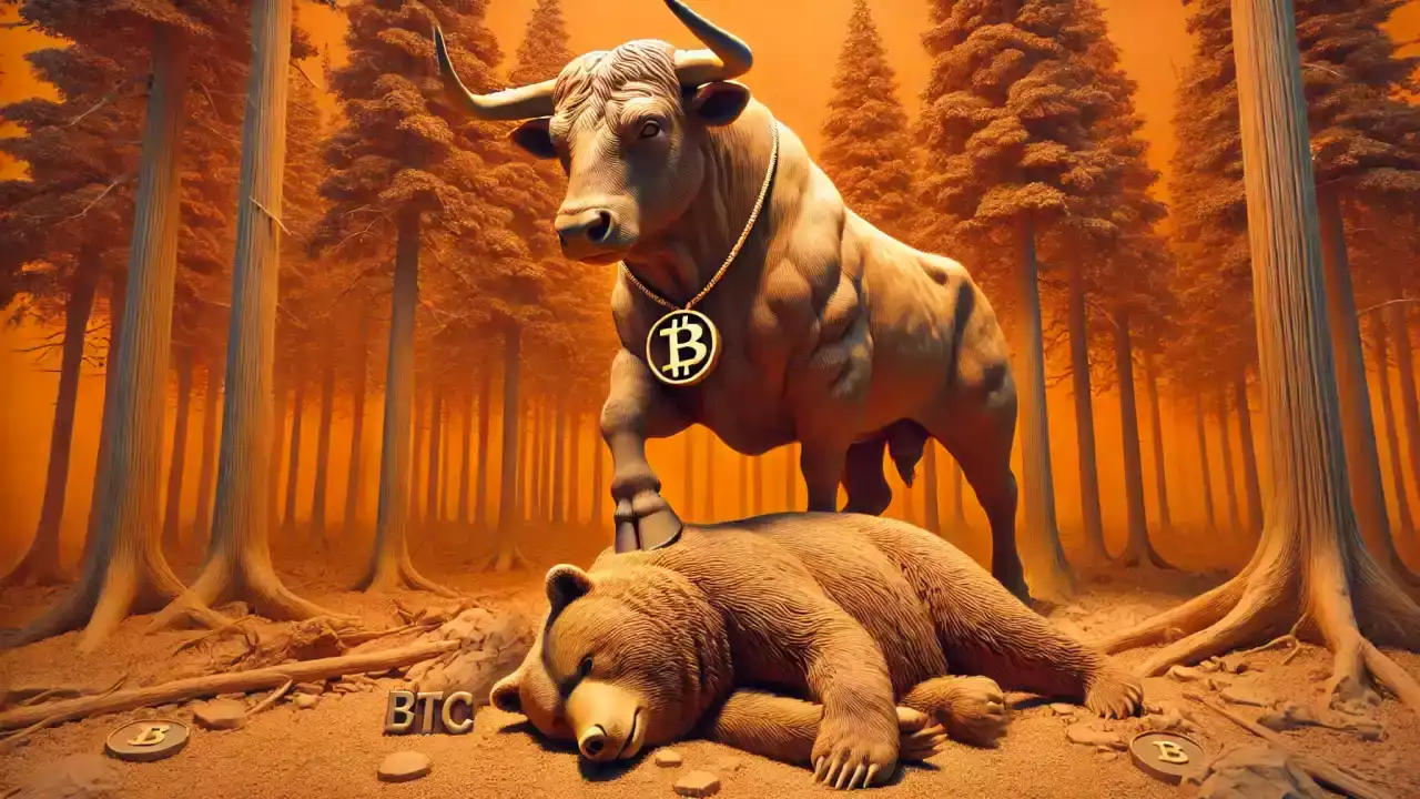 btc boga yukselis