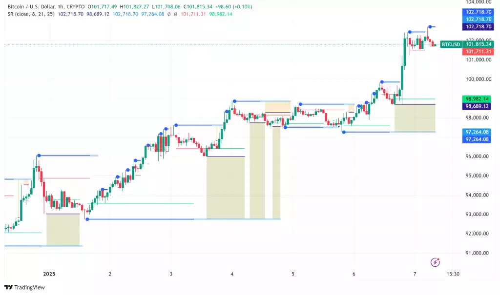 Bitcoin Fiyat Analizi: BTC $102.000'i Aştı - 2 Resim - 1
