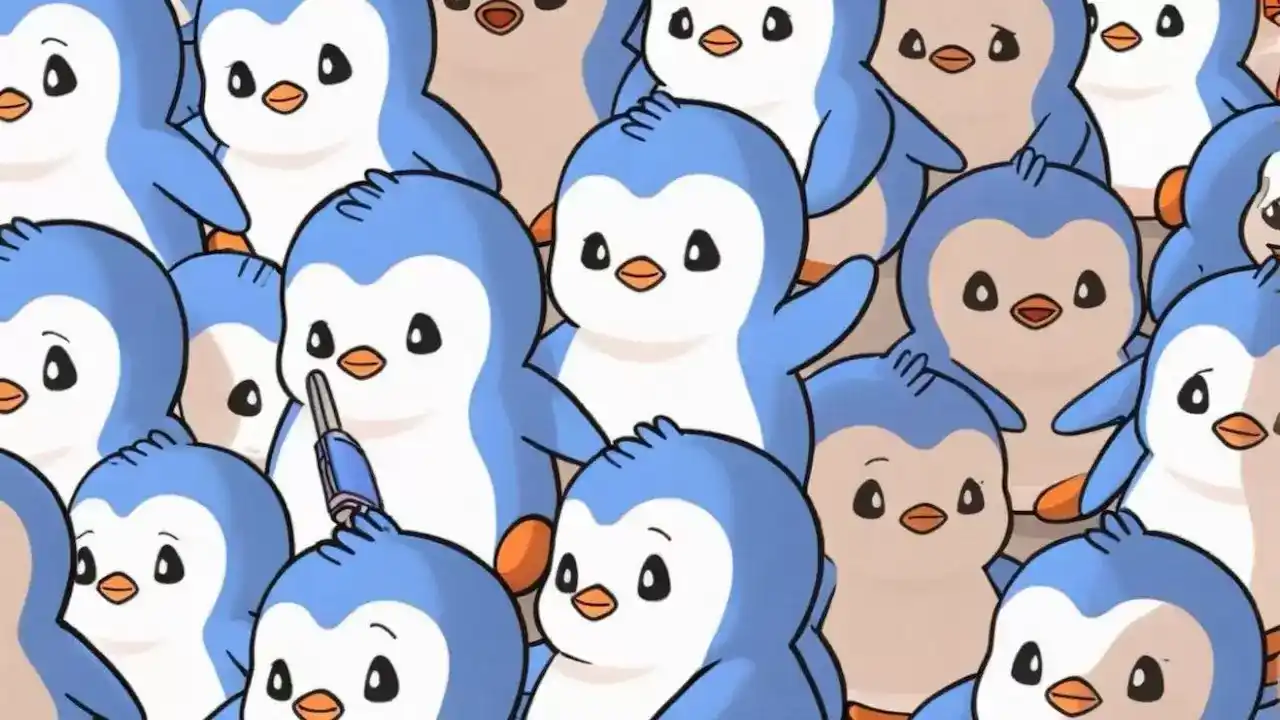 pengu neden dusuyor