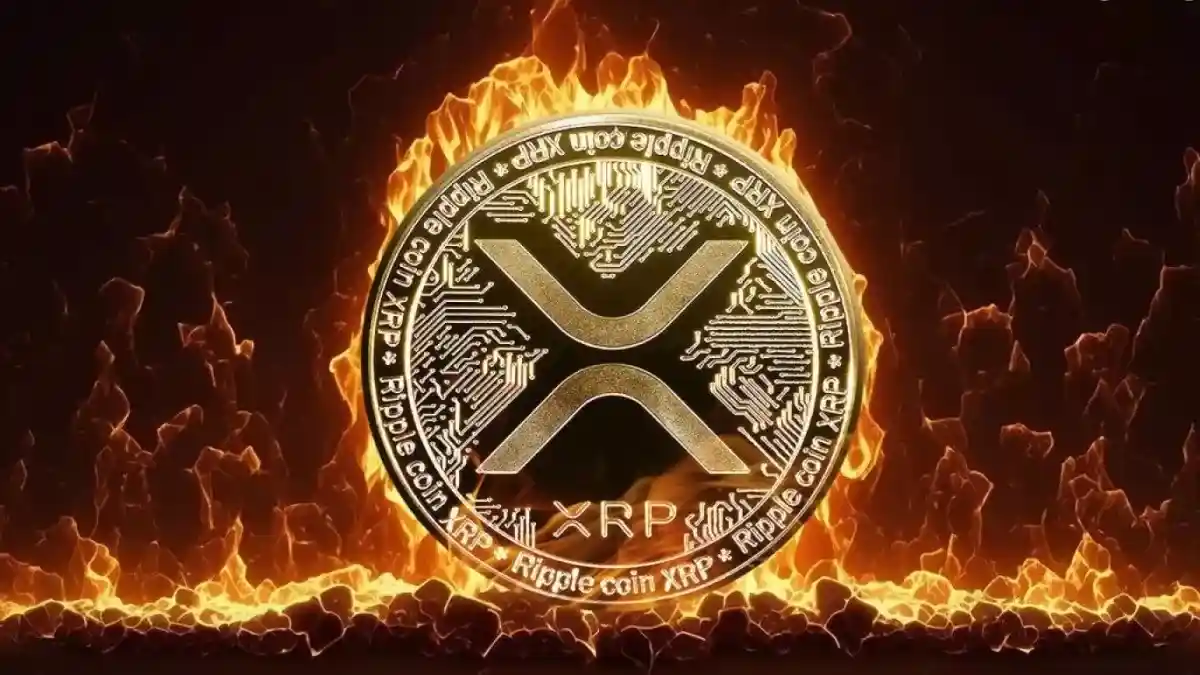 xrp neden dusuyor