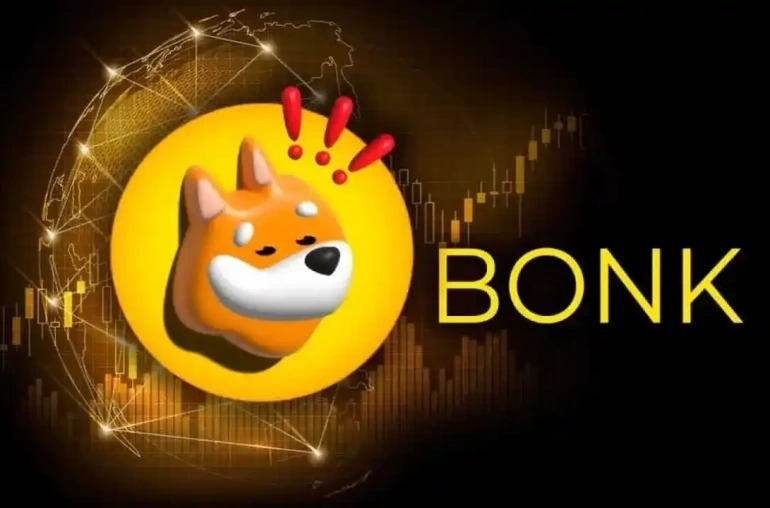 bonk 2024 12 26 memecoin
