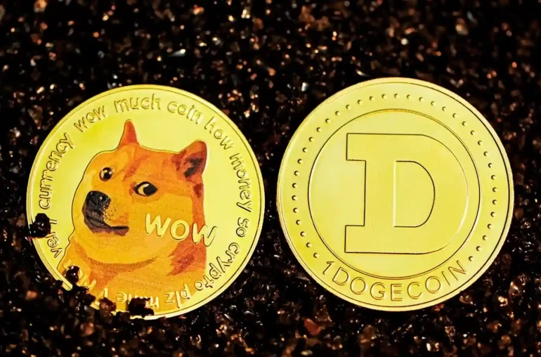 dogecoin doge dusu ve libra coin