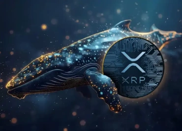 xrp ripple balinalar topluyor